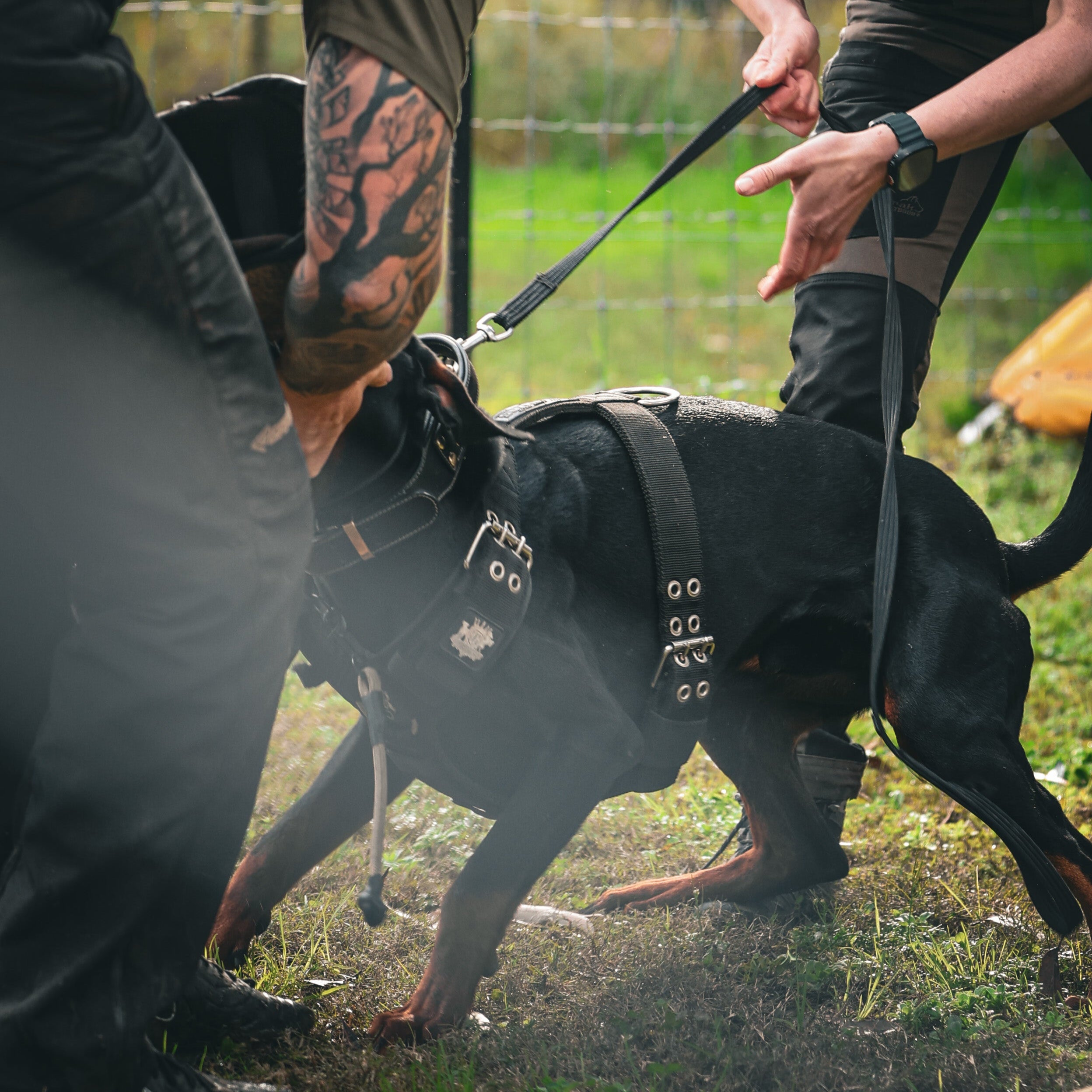 SUPATUFF® Strong Dog Harness Heavy Duty - Black