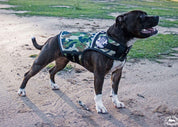 Canine Weight Vest - CAMO
