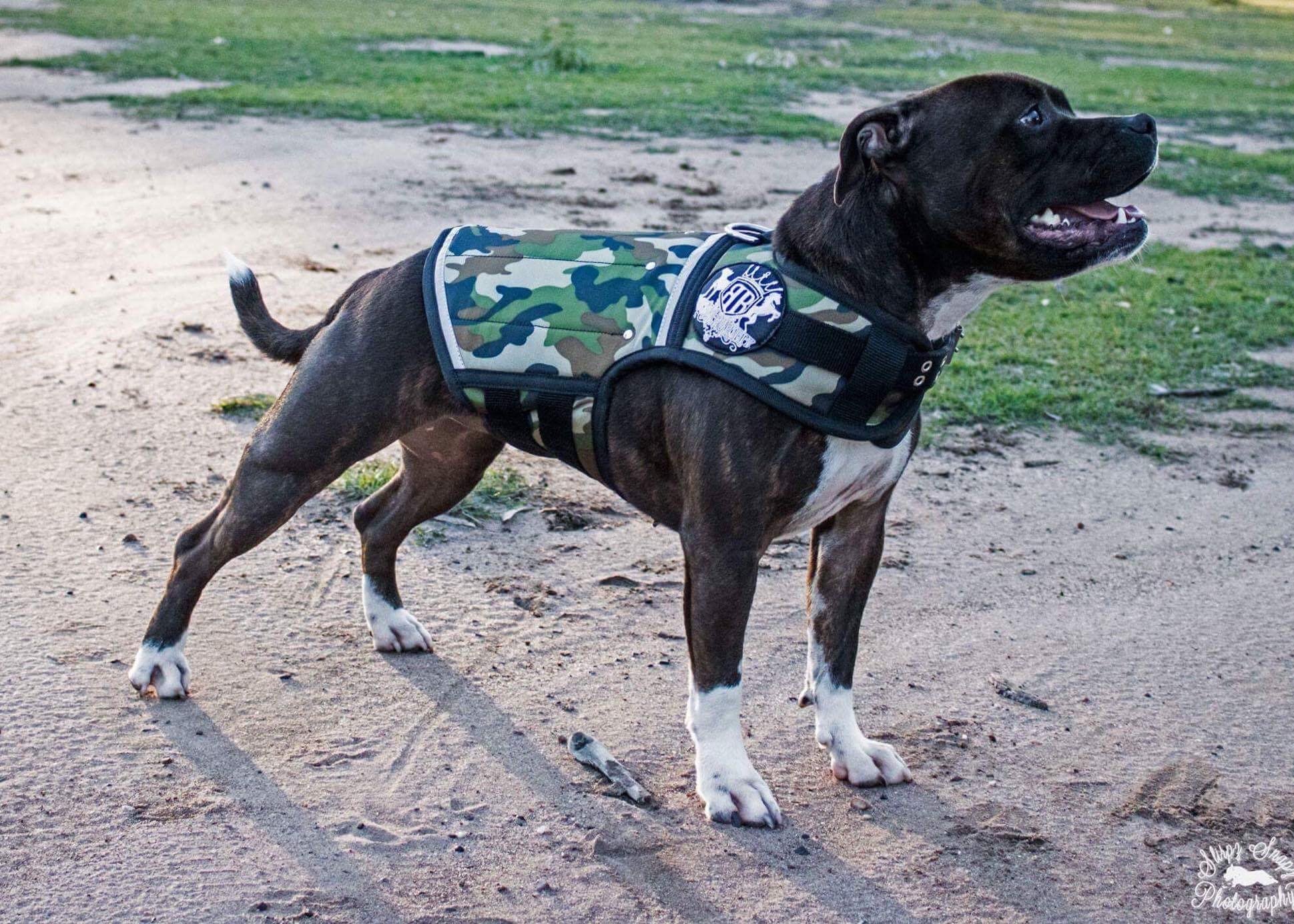 Canine Weight Vest - CAMO