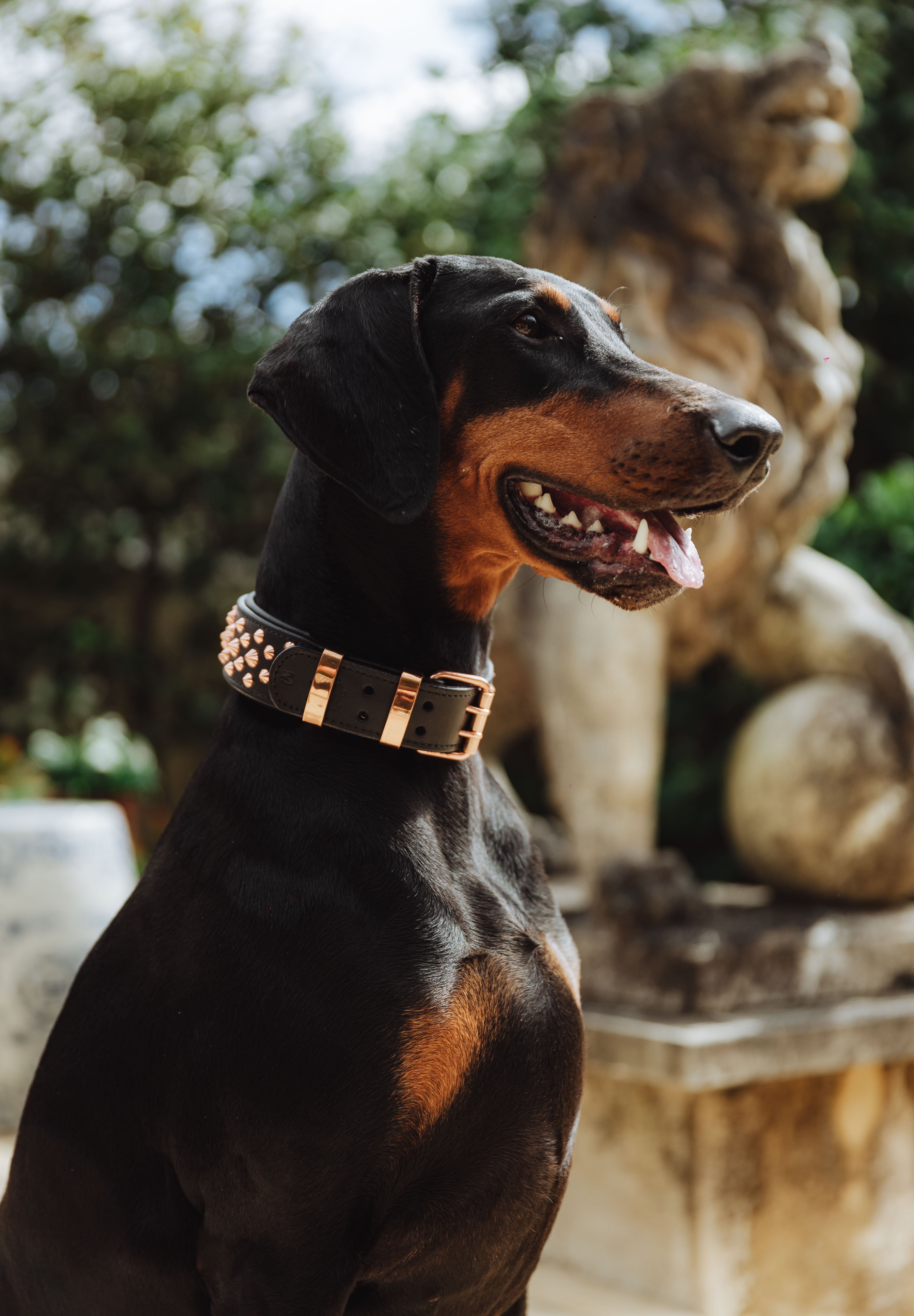 Premium Materials &amp; Craftsmanship