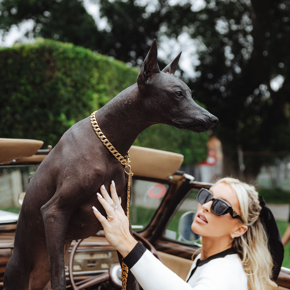 Rogue Gold Chain (15mm Width)