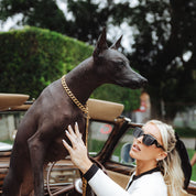 Rogue Gold Chain (15mm Width)