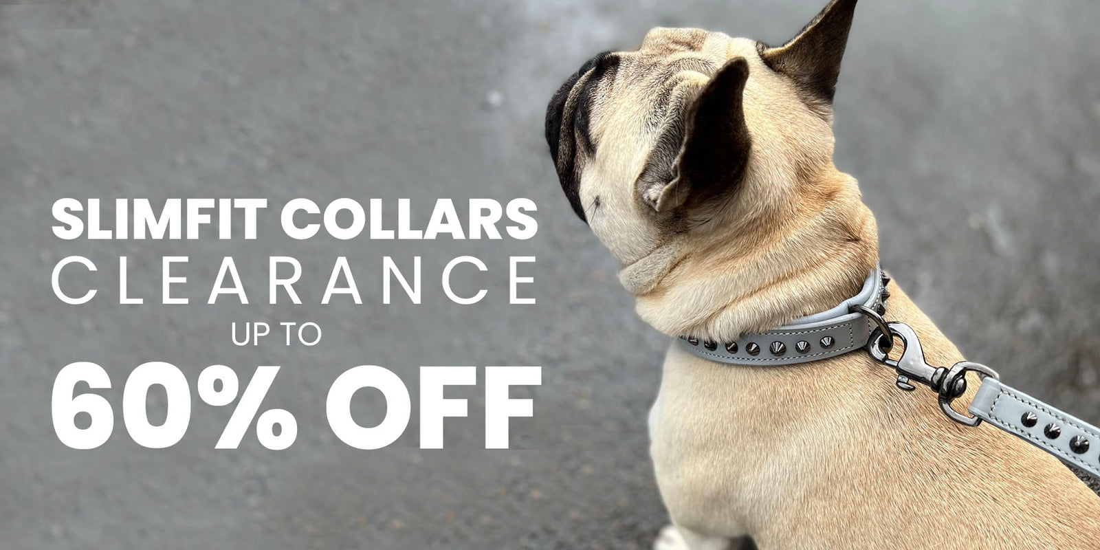 Clearance dog outlet collars