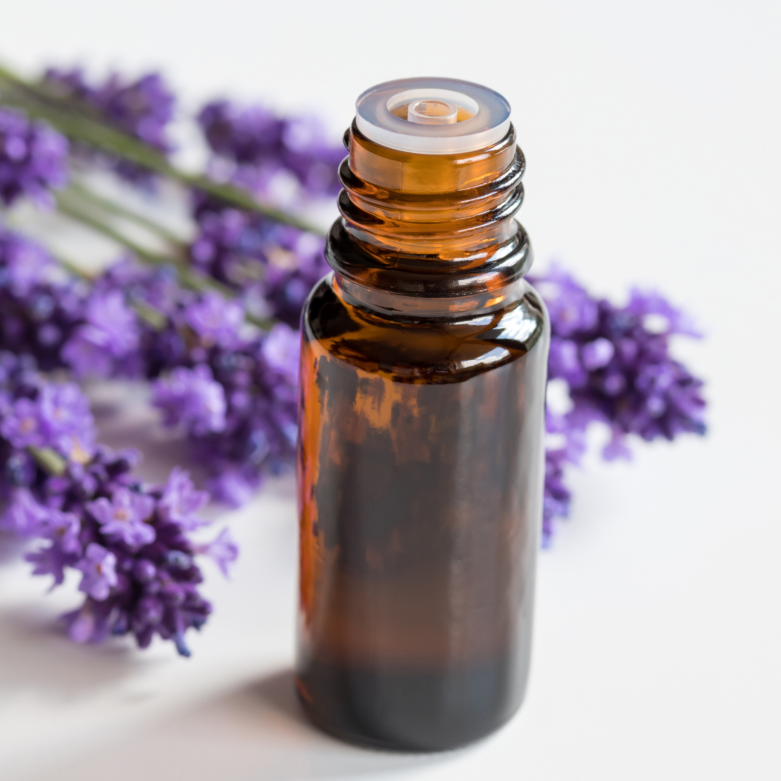 Lavender Oil