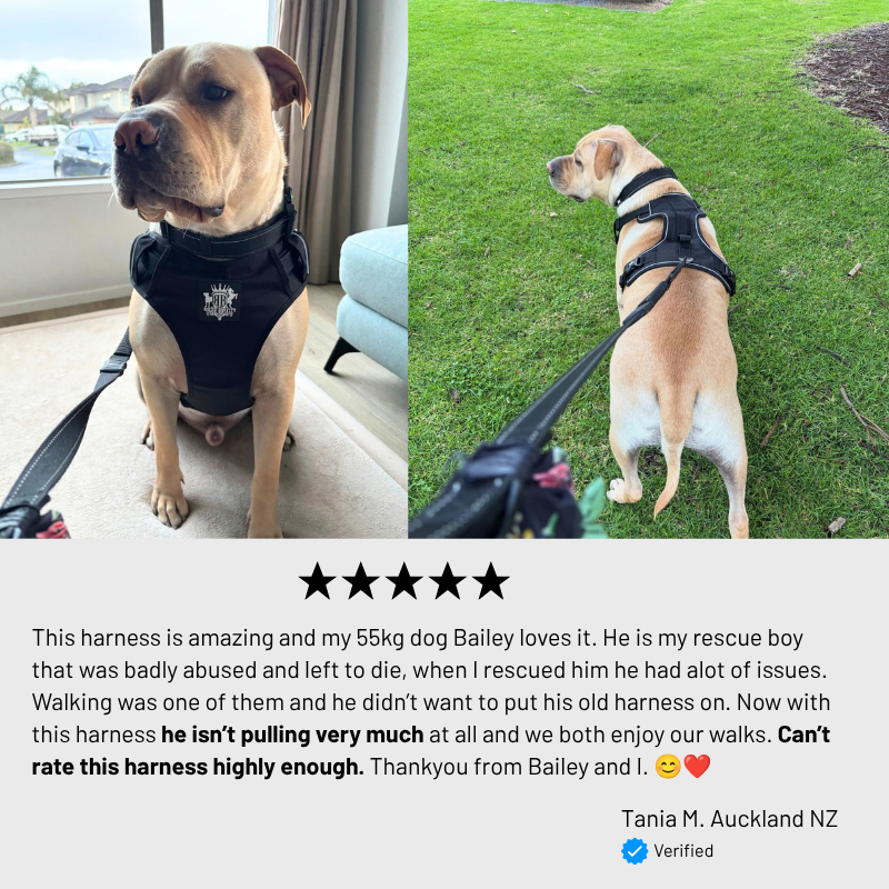 Active X Reviews