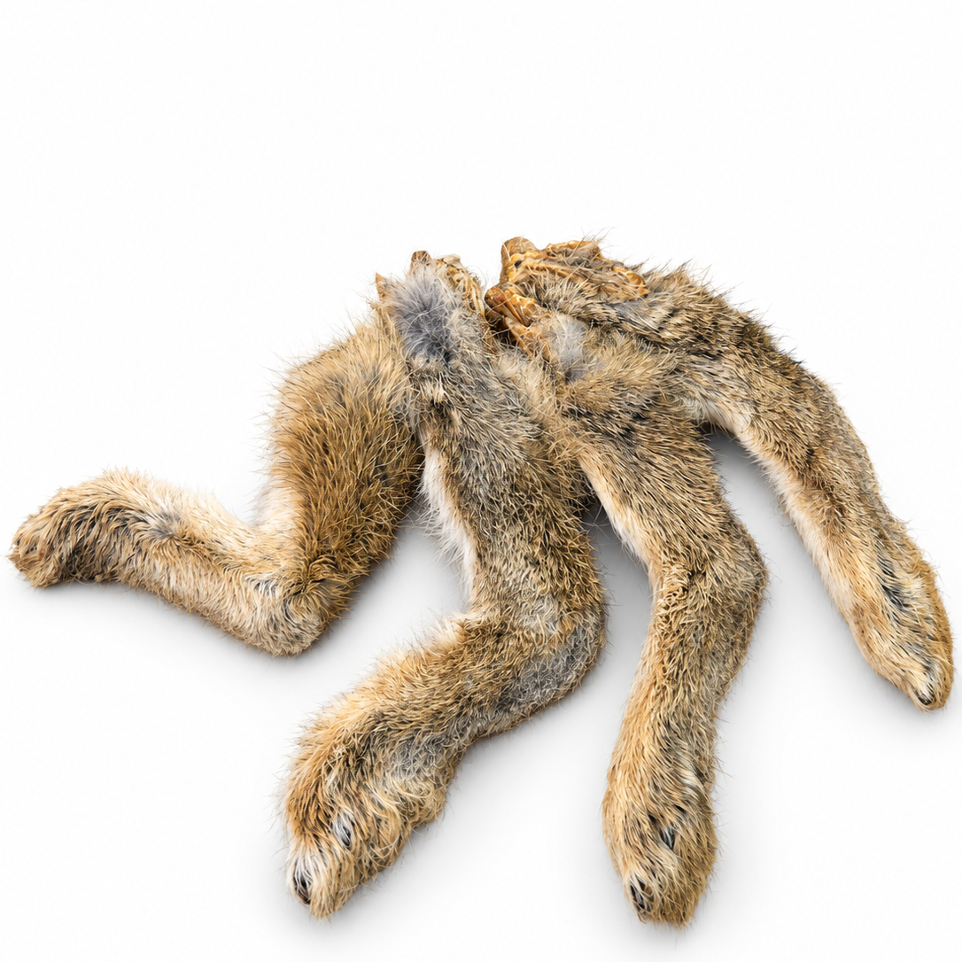NaturalDriedRabbitFeet-NaturalDogTreat.png