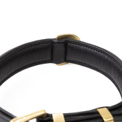Inside view of padded leather dog collar for comfort.