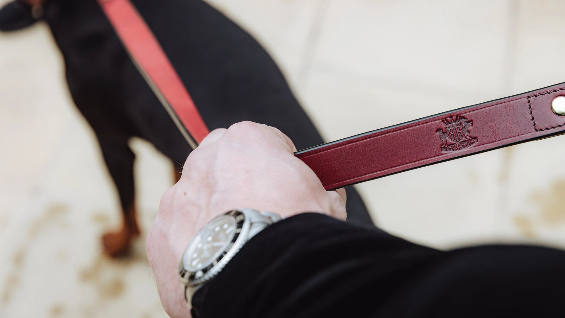 Person holding a red Rogue Royalty leather dog leash while walking a black dog