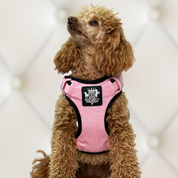 Poodle-small-dog-harness