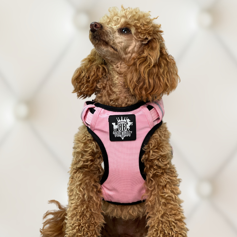 Puppy Harness - Active X Pink