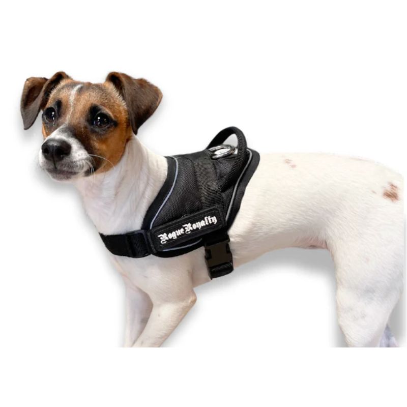 Puppy Harness Quick Fit Black