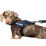 Puppy_Harness_-_Quick_Fit_Black-b