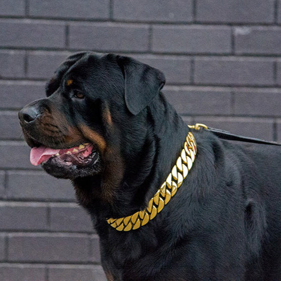 Big Dog Chain Dog Leads Chrome Plated Choke Dog 【Collar】 For Big