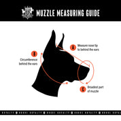 Short-Nose Muzzle - Leather Basket