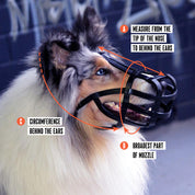 Dog Muzzle - Leather Basket