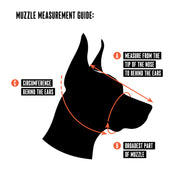 Dog Muzzle - Leather Basket