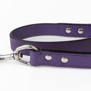 Leather Dog Leash - Classic Purple