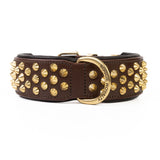 Hand Made Leather Dog Collar - Ruthless Brown & Brass (Wide Fit)