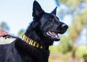 SUPATUFF® Strong Dog Collar SECURITY (Wide Fit)