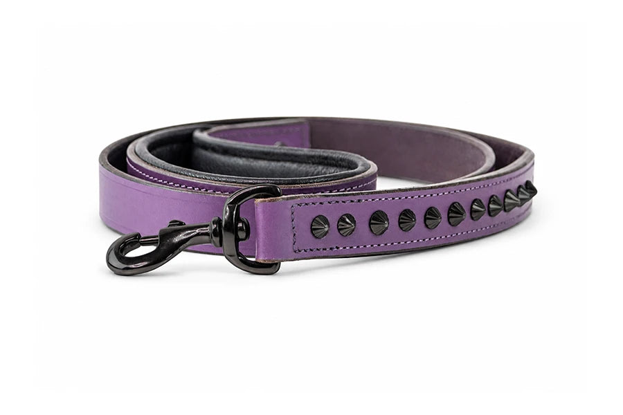 Purple dog leash with black accents