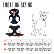 Dog Harness - Active X Pink