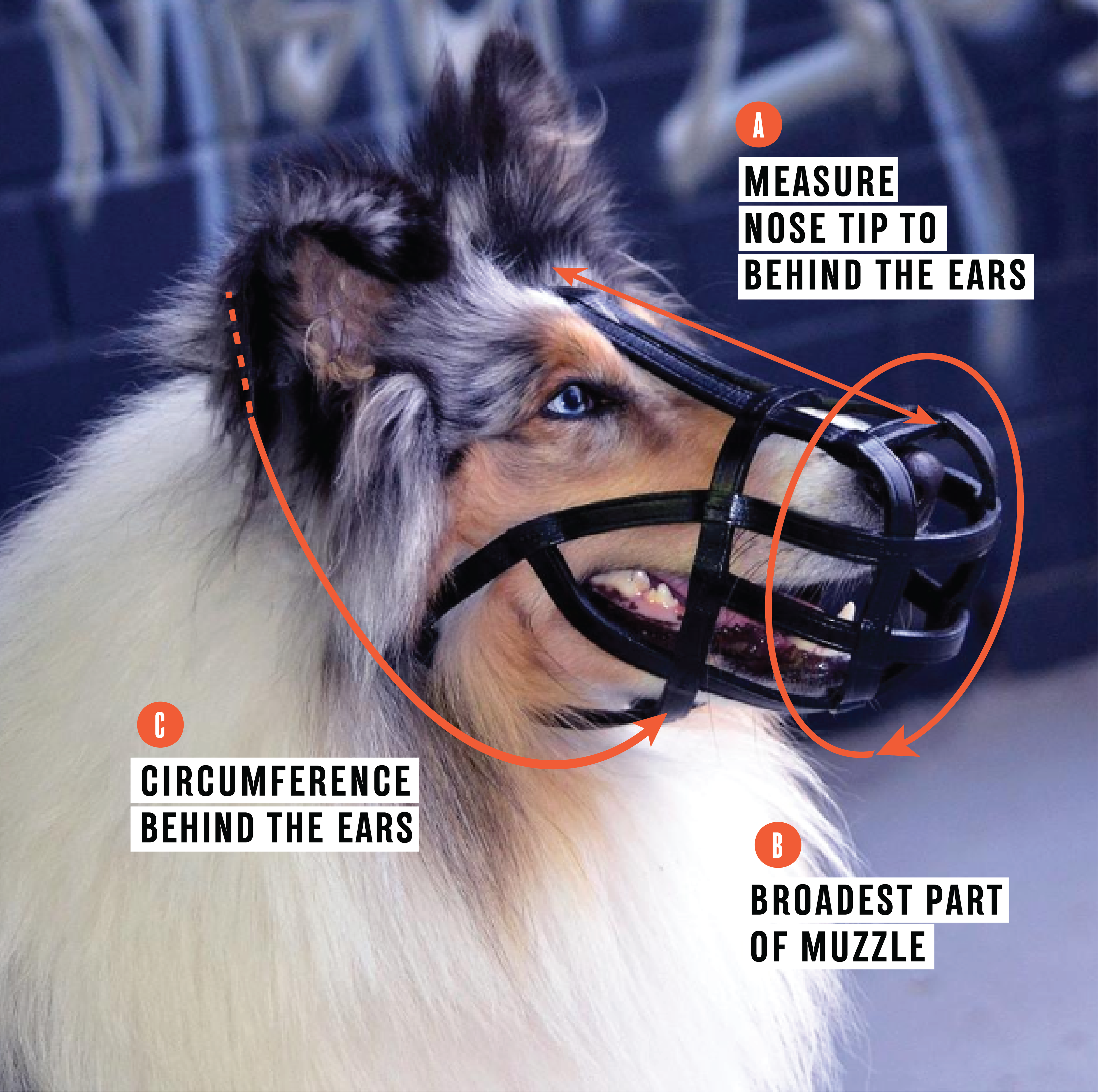 Short-Nose Muzzle - Leather Basket