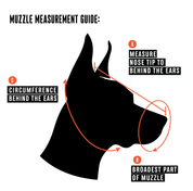 Short-Nose Muzzle - Leather Basket