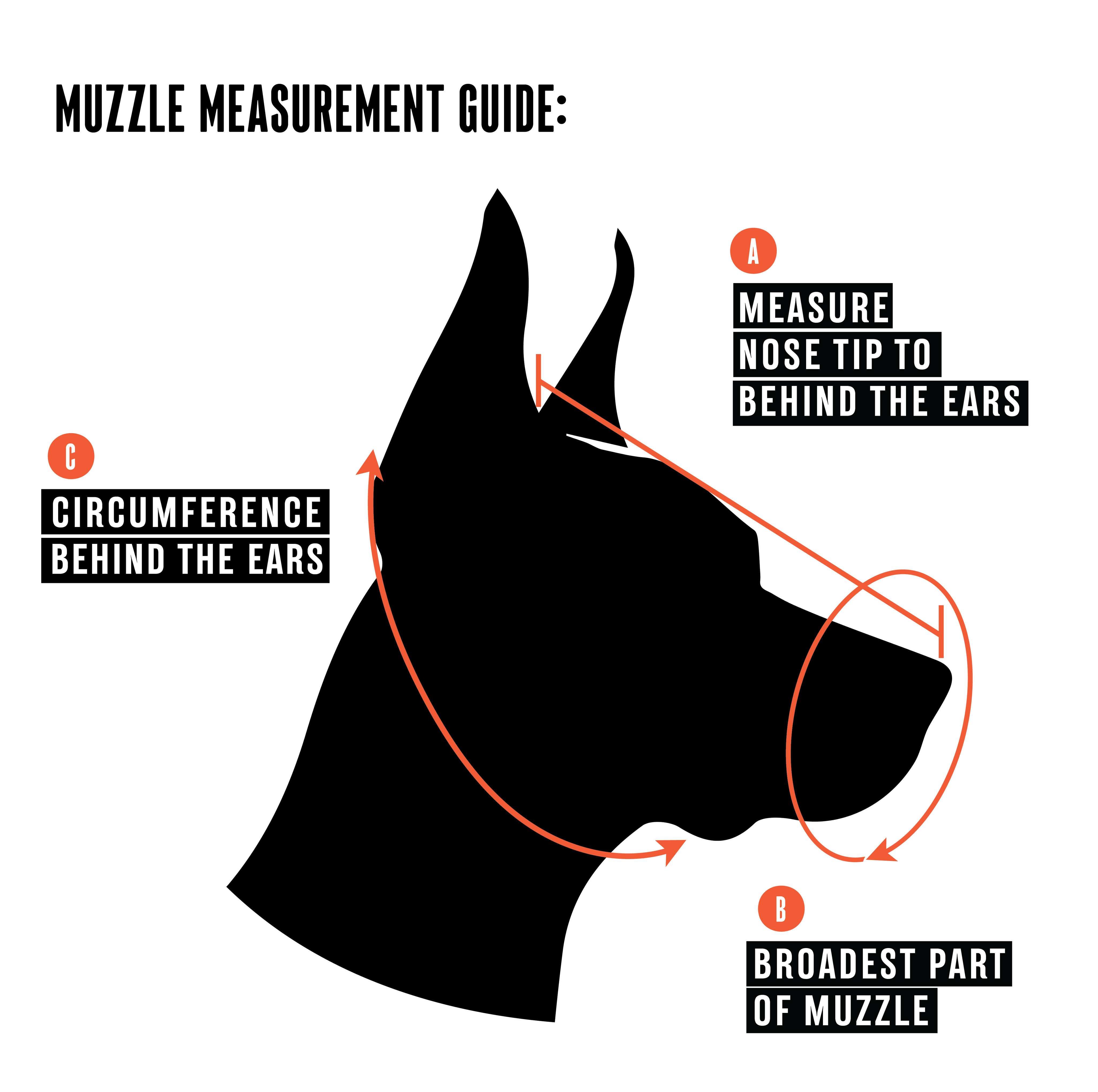 Short-Nose Muzzle - Leather Basket
