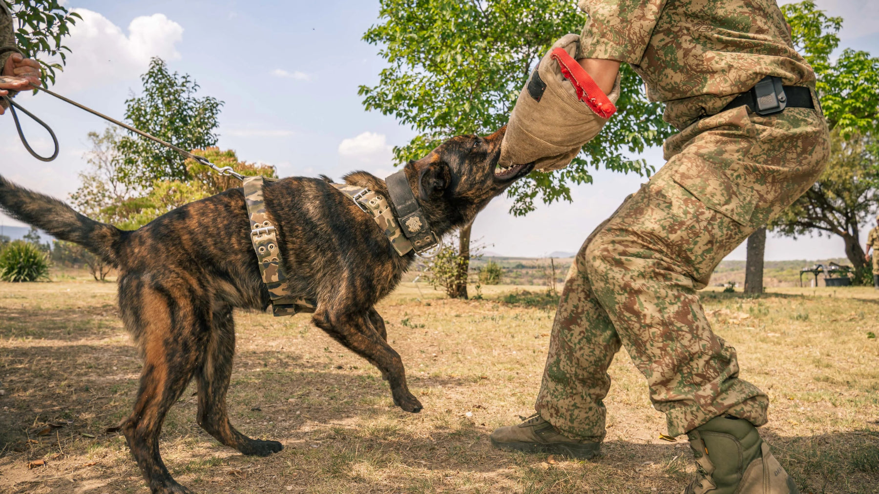 SUPATUFF - HEAVY DUTY DOG COLLARS