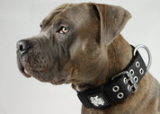 SUPATUFF® Strong Dog Collar Black (Wide Fit)