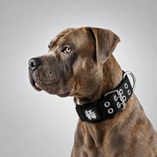 SUPATUFF® Strong Dog Collar Black (Wide Fit)