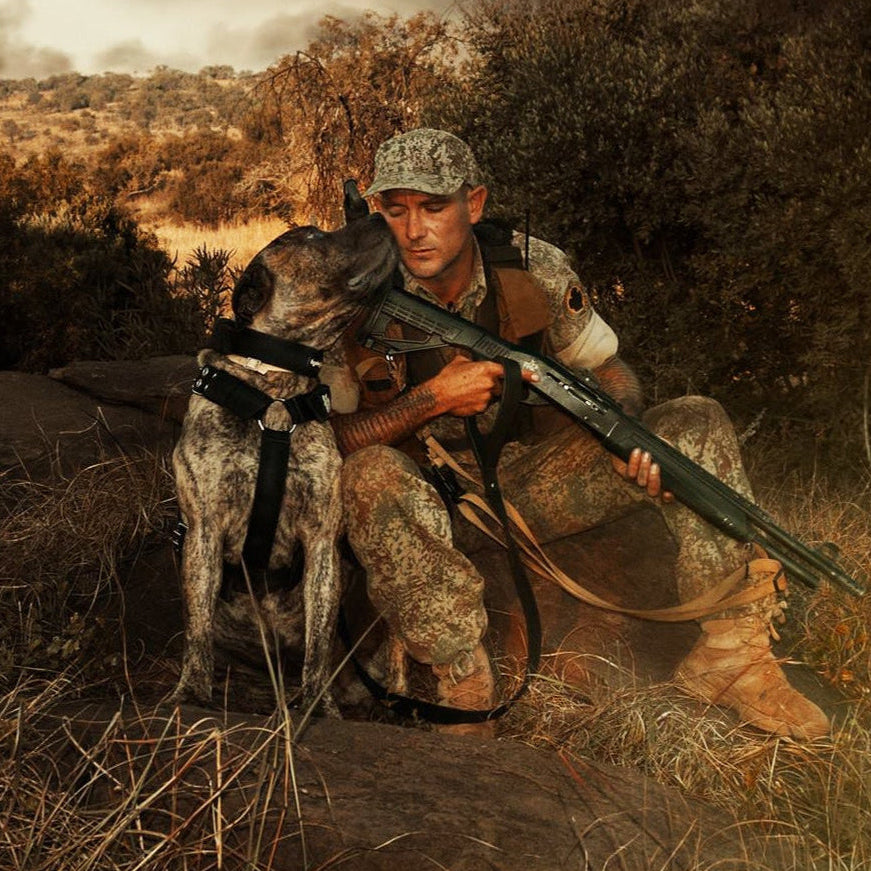 Large strong anti-poaching training dog wearing black Supatuff dog harness