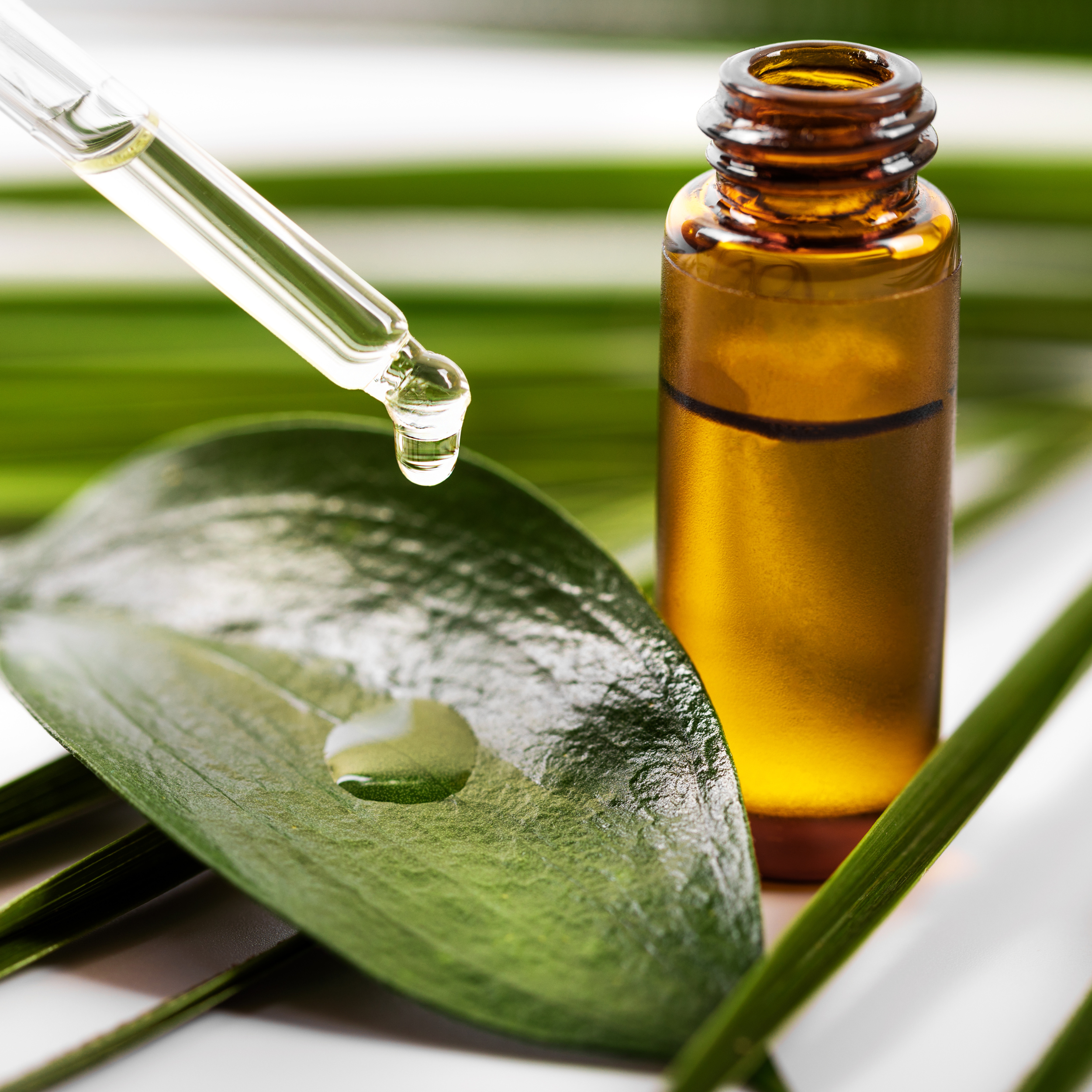 Tea Tree Oil