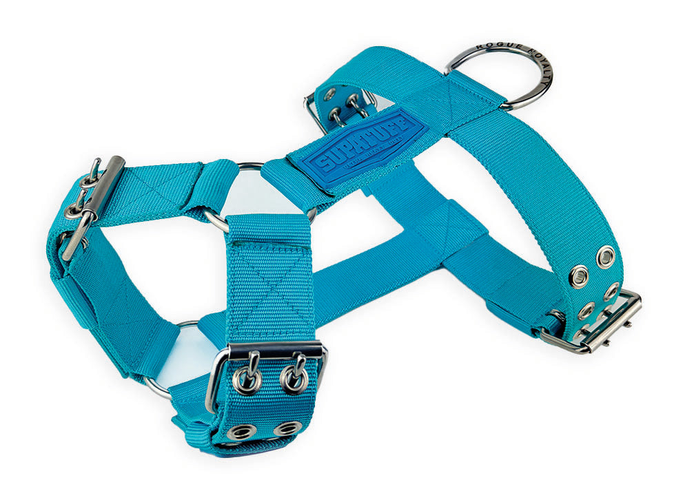 SUPATUFF® Strong Dog Harness Heavy Duty - Turquoise