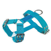 Turquoise-dog-harness