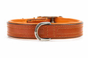 Tuscan orange leather dog collar with silver buckle