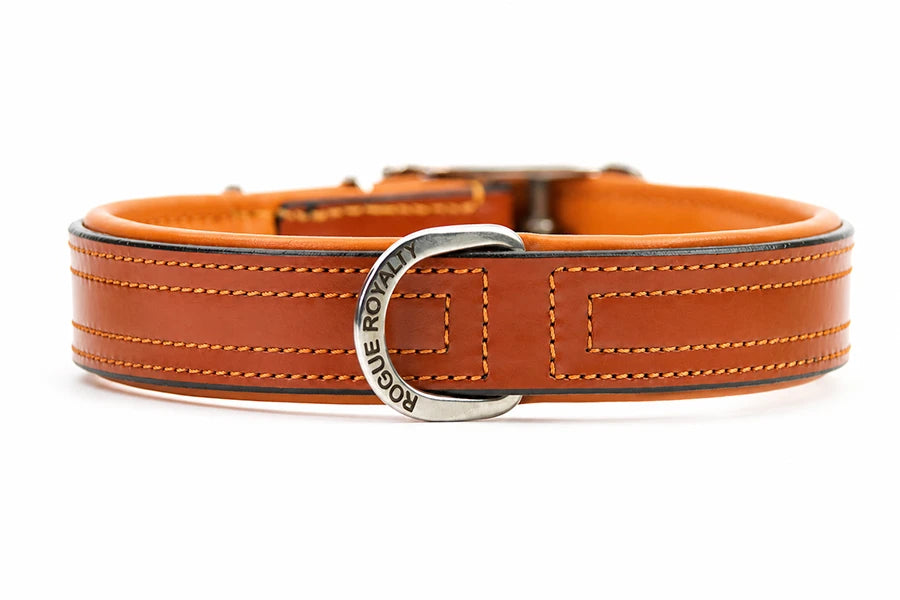 Tuscan orange leather dog collar with silver buckle