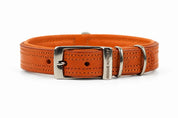 Tuscan orange leather dog collar with silver buckle