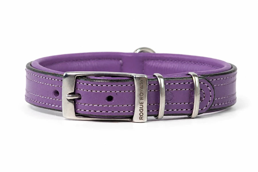 Tuscan Purple leather dog collar with silver buckle