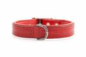 Red leather dog collar with silver buckle