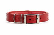 Red leather dog collar with silver buckle