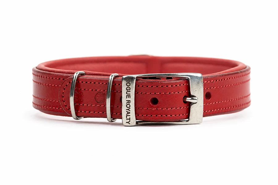 Red leather dog collar with silver buckle