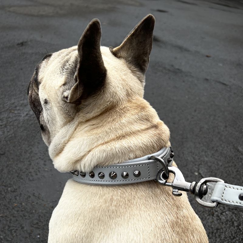 Untitled-1_851ae34c-ee3f-47e2-8c32-5d91fea61f4b.png