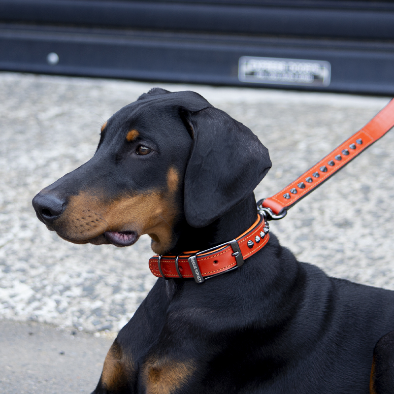 Untitled-1_95f43a63-c2f2-4af5-9c71-7b2cc69e8fc5.png