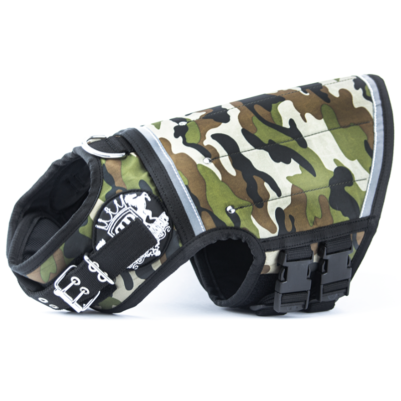 Untitled-1_cf5f9341-5ba9-4f88-98bd-4cb3bb9f6d7b.png