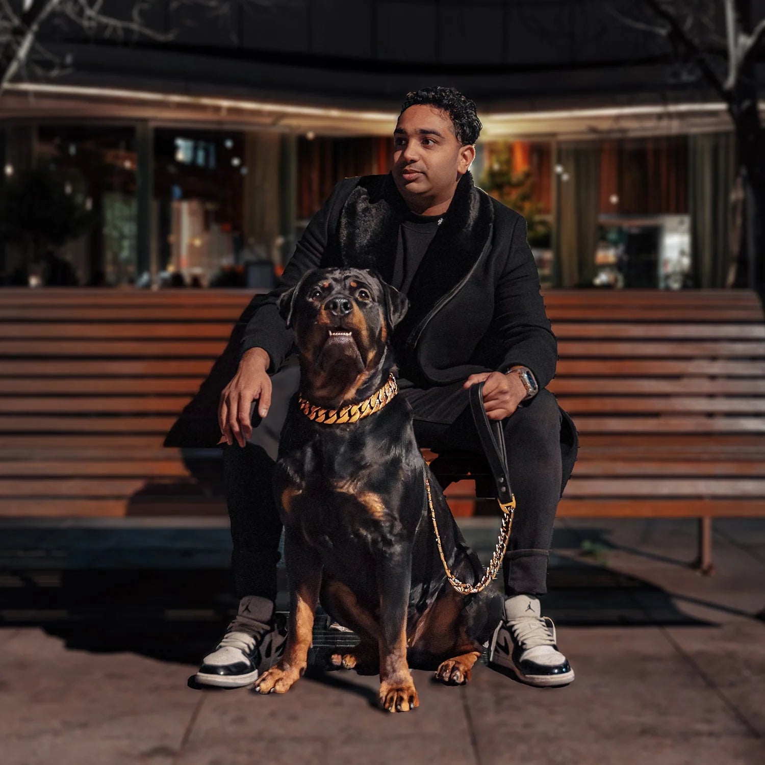 Dog Accessories - Shop Everything for your Dog at Rogue Royalty