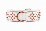 White dog collar with rose gold spikes and buckle on a white background