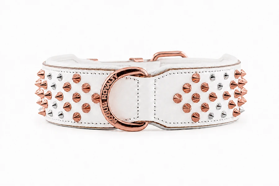 White dog collar with rose gold spikes and buckle on a white background
