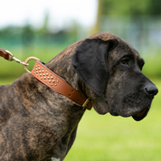 Hand Made Leather Dog Collar - RuffNeck Brown & Brass (Wide Fit)