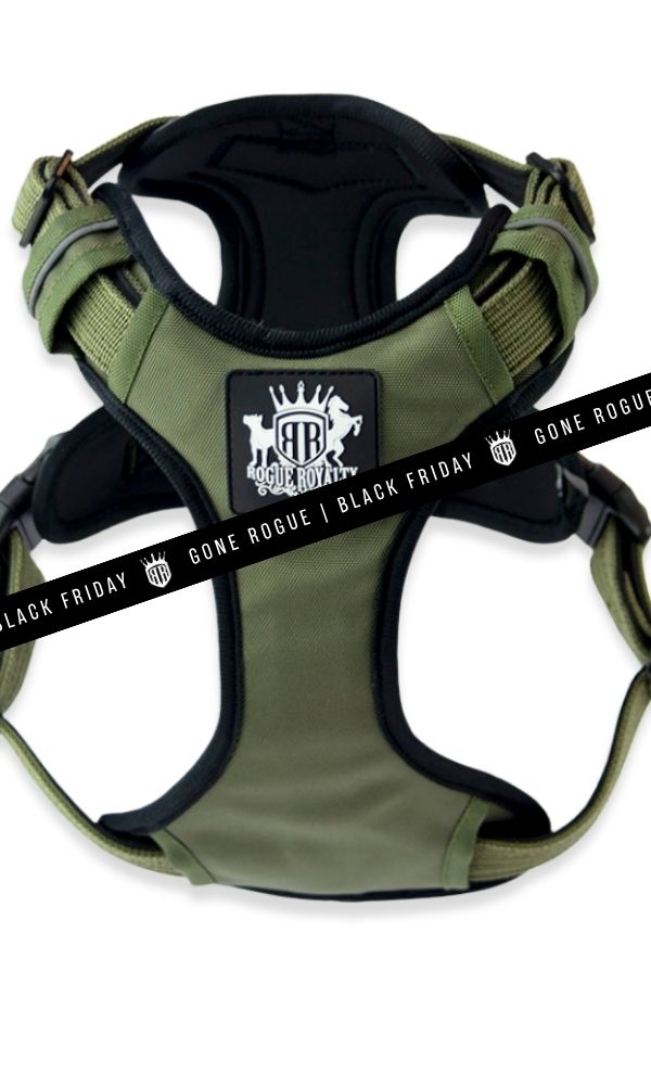 active-dog-harness_861a6c18-f3d4-4a5c-81d4-49689245e7c2.jpg